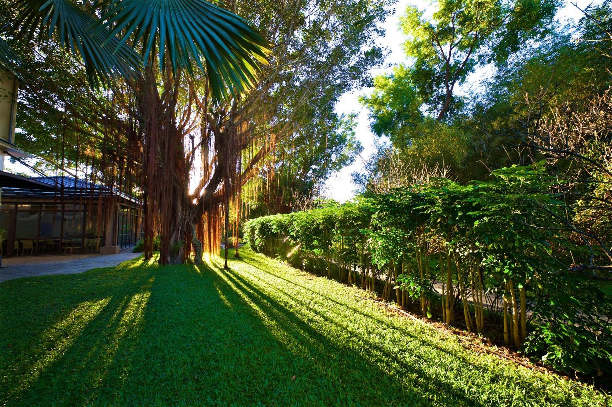 Gaeavilla Resort جيان المظهر الخارجي الصورة